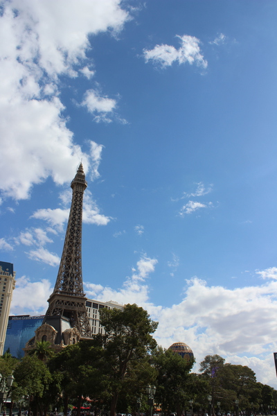 IMG 3119 Print