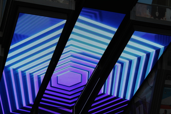 IMG 3137 Print