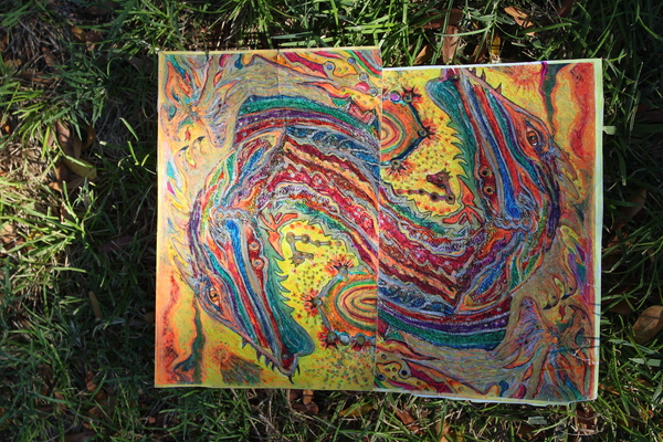 IMG 3370 Print