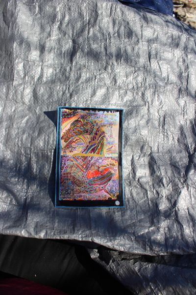 IMG 3477 Print