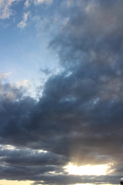 IMG 3490 Print