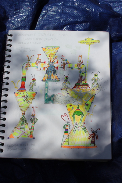 IMG 3528 Print