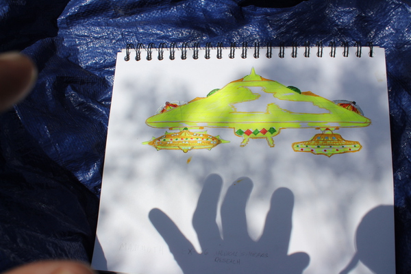 IMG 3540 Print