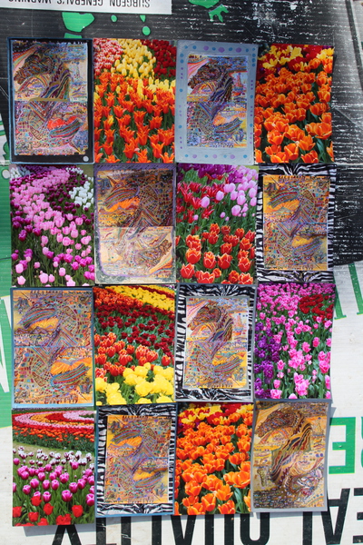IMG 3595 Print