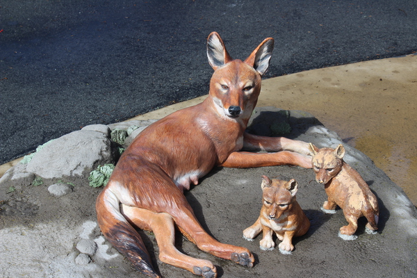 IMG 3688 Print