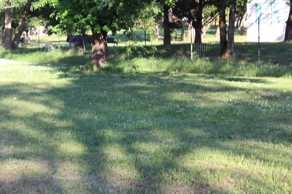IMG 3983 Print