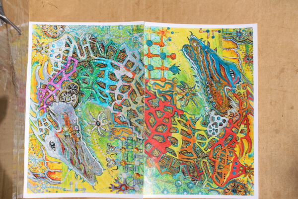 IMG 4151 Print
