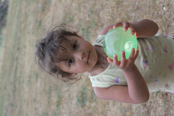 IMG 4203 Print