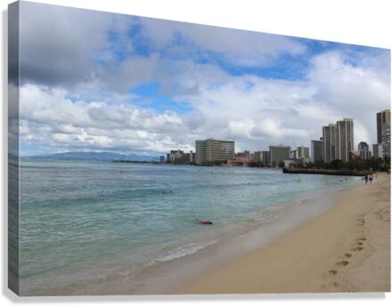IMG 0598 Canvas Print