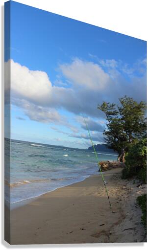 IMG 0545 Canvas Print
