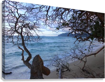IMG 0583 Canvas Print