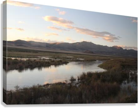 IMG 1100 Canvas Print