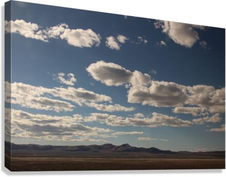 IMG 1097 Canvas Print