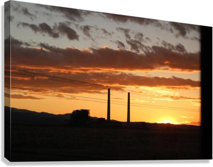 IMG 1118 Canvas Print