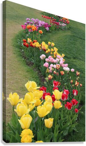 IMG 1445 Canvas Print