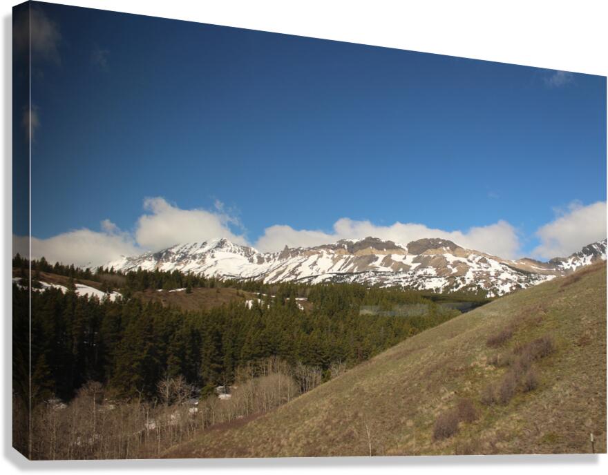 IMG 1600 Canvas Print