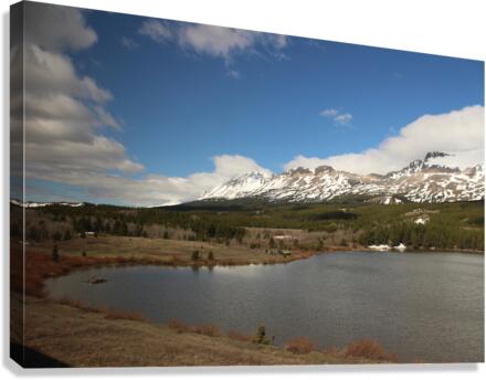 IMG 1613 Canvas Print