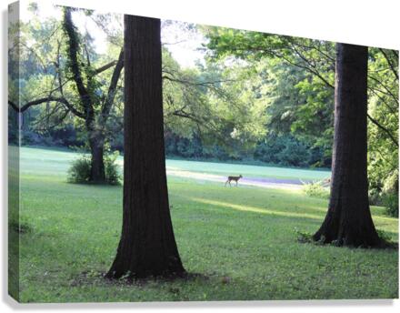 IMG 2021 Canvas Print