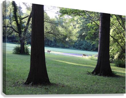 IMG 2020 Canvas Print