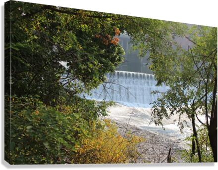 IMG 2312 Canvas Print