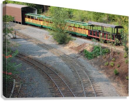 IMG 2550 Canvas Print