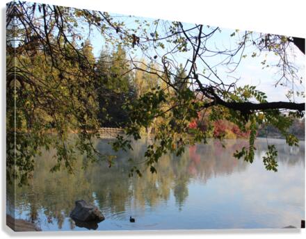 IMG 2976 Canvas Print