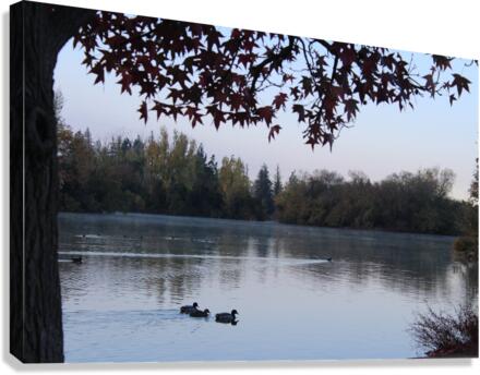 IMG 2974 Canvas Print