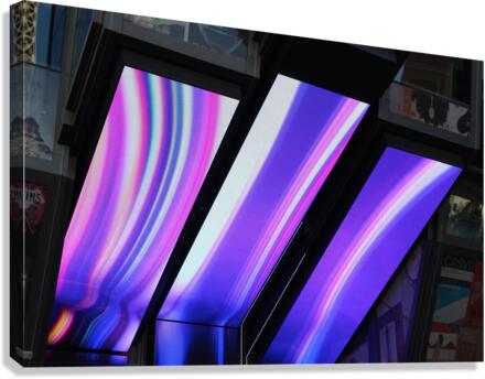 IMG 3144 Canvas Print