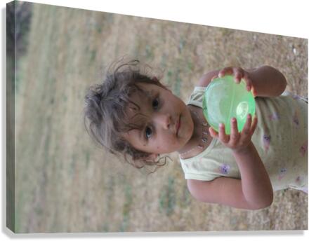 IMG 4203 Canvas Print