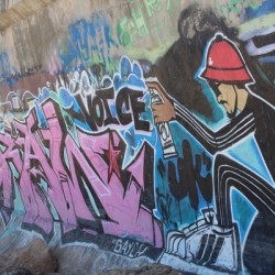 IMG 0383