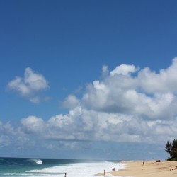 IMG 0455