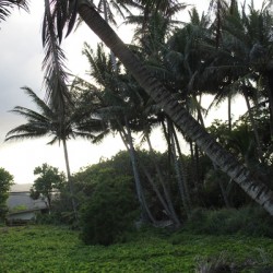 IMG 0570