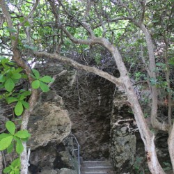 IMG 0592