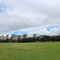 IMG 0600
