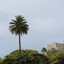 IMG 0611