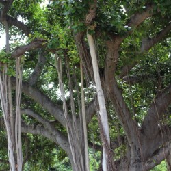 IMG 0629