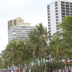 IMG 0672