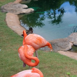 IMG 0702