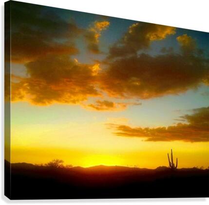 Desert Sunset Canvas Print