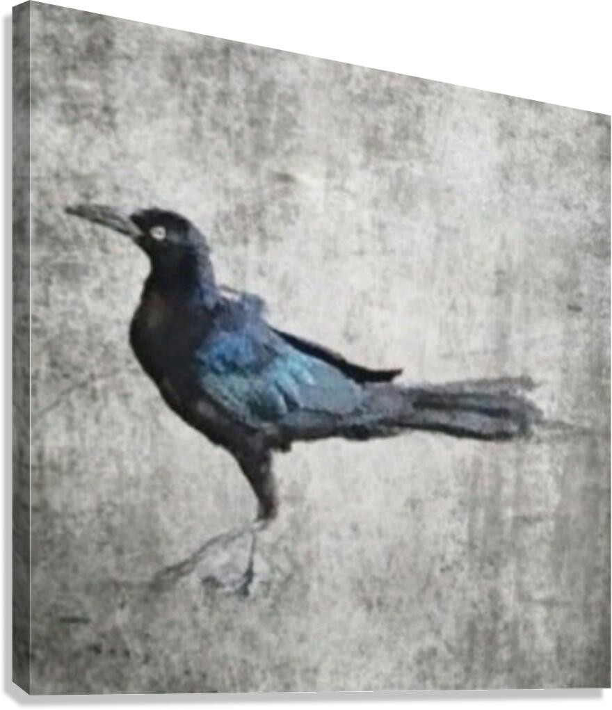 The Crow Canvas Print