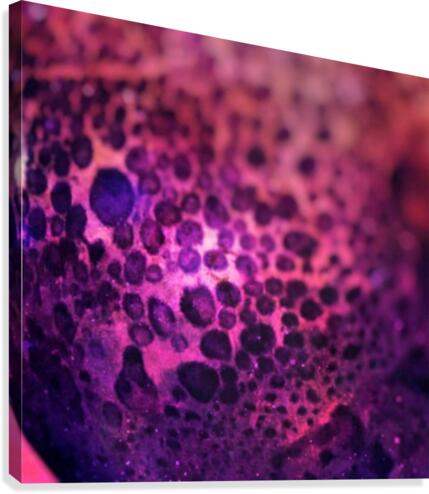 creative photography Canvas Print