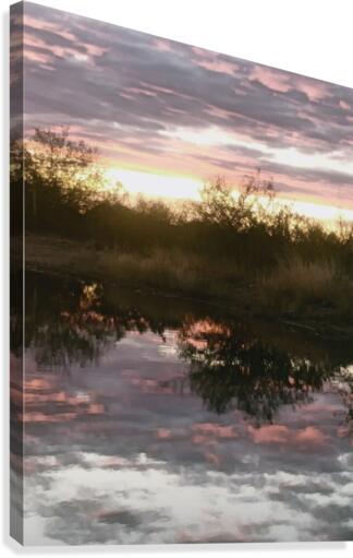 Reflection Canvas Print