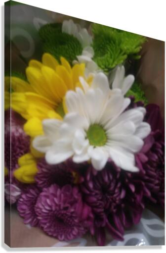 Flowers  Canvas Print
