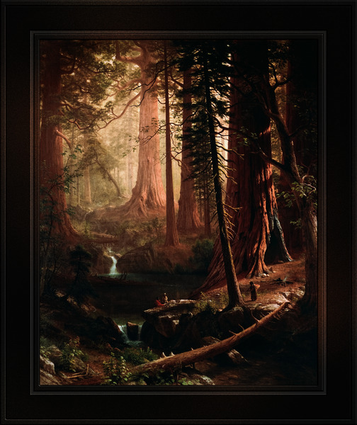 Giant Redwood Trees of California by Albert Bierstadt Remastered Xzendor7 Classical Fine Art Old Masters Reproductions Print