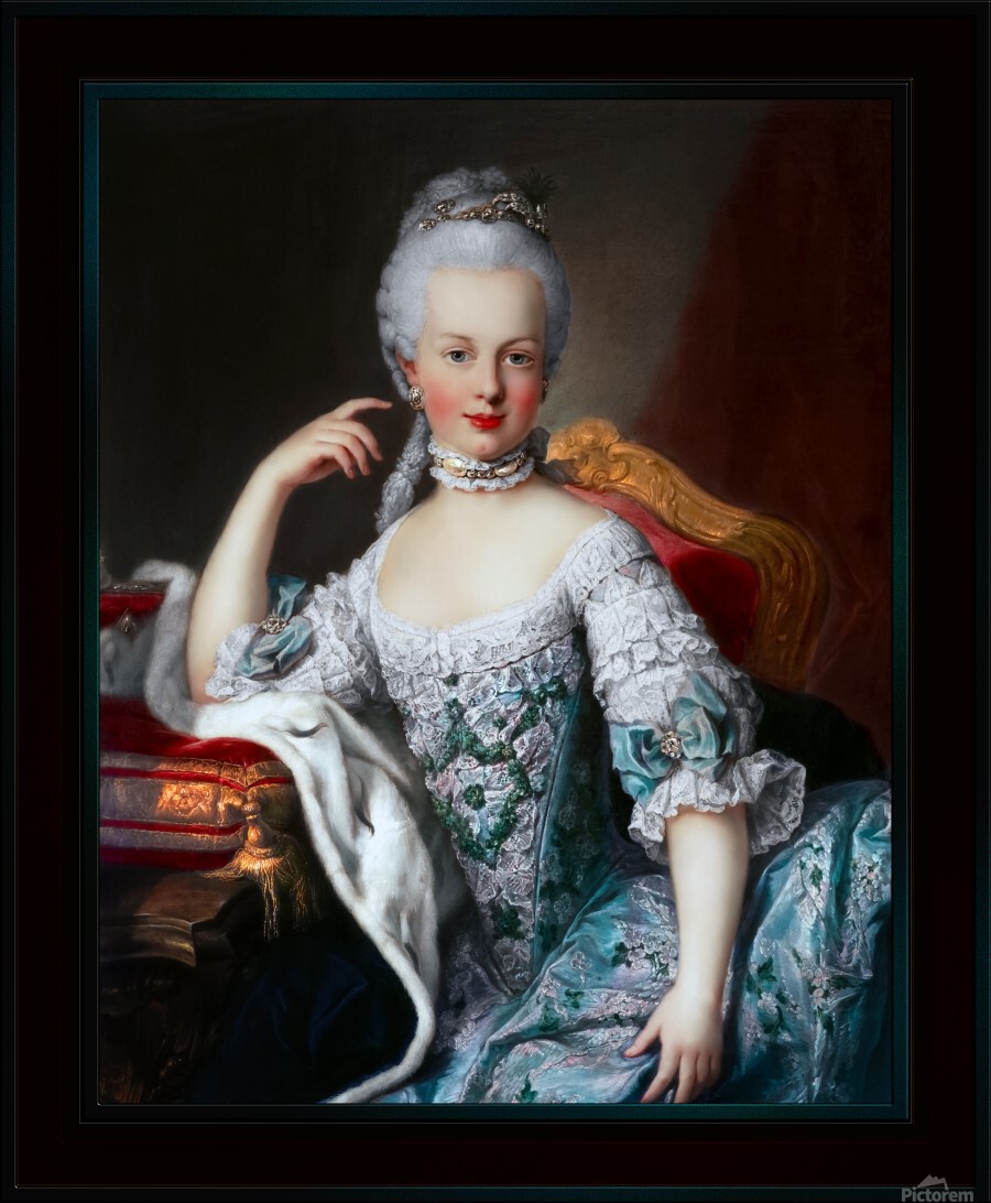 Portrait Of Marie Antoinette of Austria by Martin van