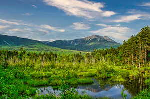 Katahdin Magic 13b