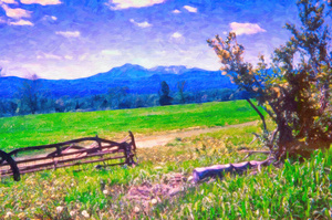 kathadin farm