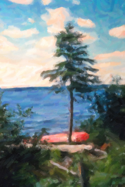 Canoe Tree Print