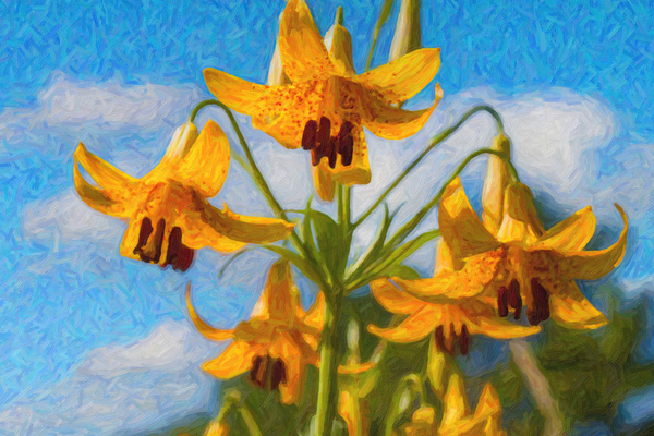 Yellow Bells Print