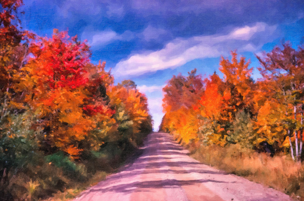 fall road Print